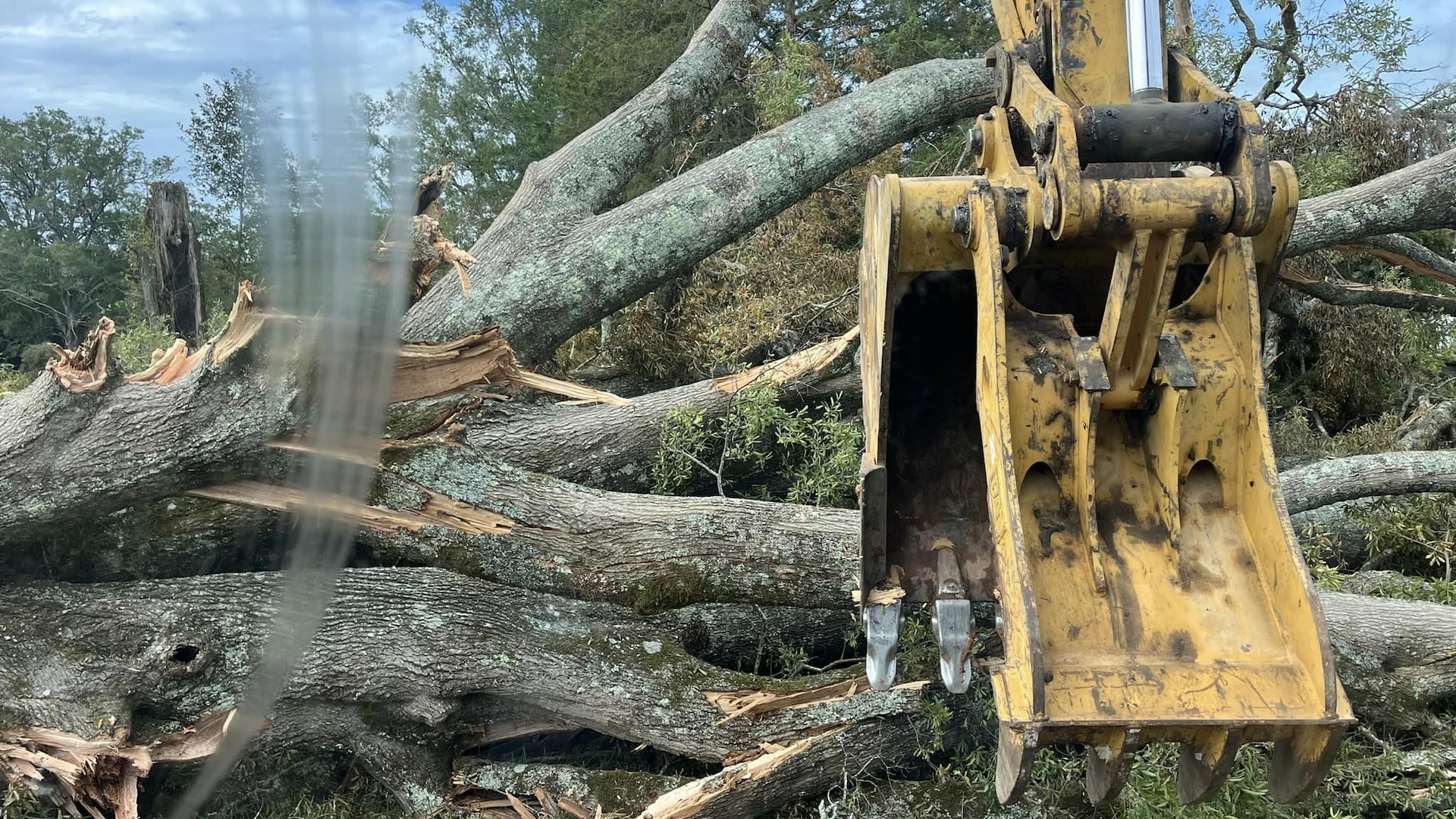 A bucket from an excavator is being used to grab a downed oak tree after Hurricane Helene.